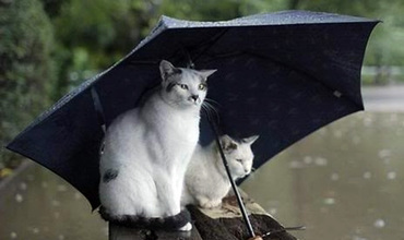 Detalii privind prognoza meteo puteți afla pe meteo.point.md.