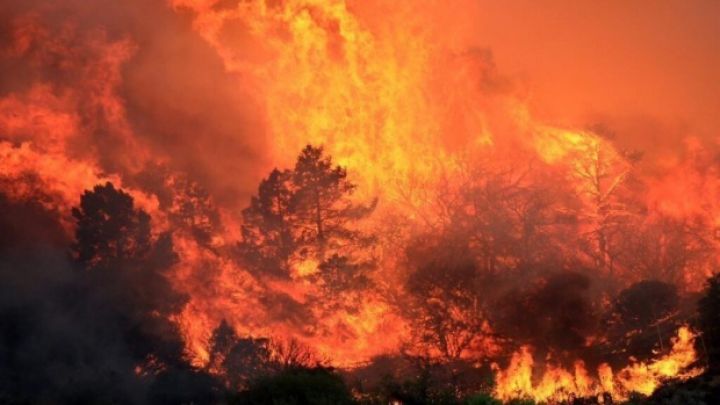 Bilanț sumbru în Portugalia: 41 de morți în urma incendiilor