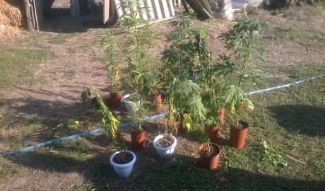 Задержанным грозит штраф в размере от 8 до 14 тысяч леев.