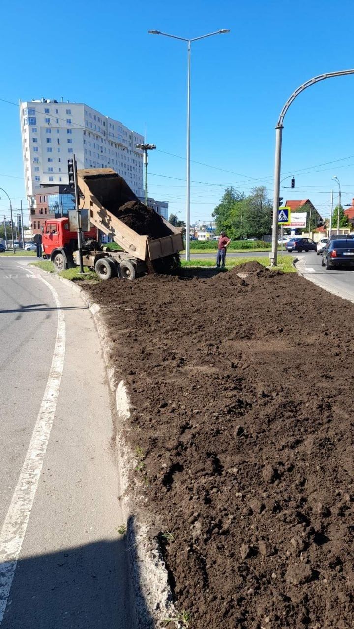 На аллее по улице Каля Орхеюлуй благоустроены зеленые насаждения, скоро там будет установлена система орошения.