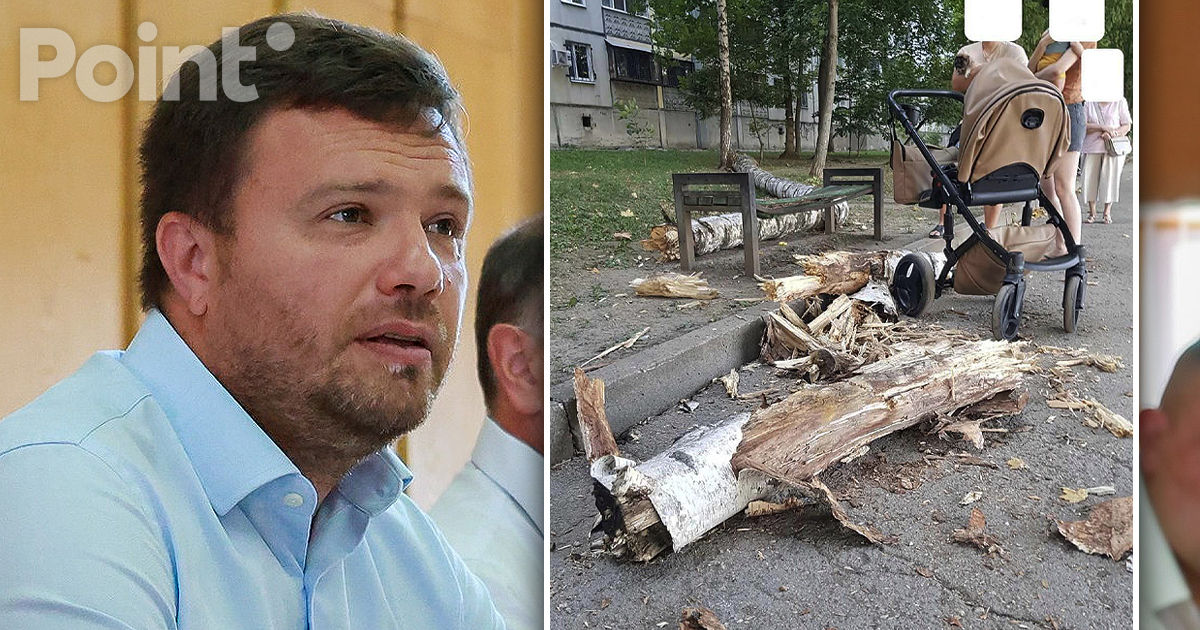 Ministrul Mediului: Сopacii ce reprezintă pericol trebuie defrișați imediat.