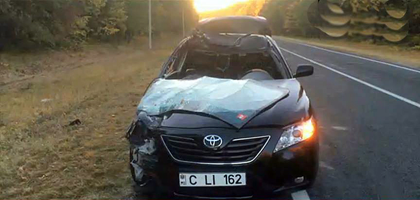 Сотрудники управления Autosalubritate ликвидировали последствия аварии.