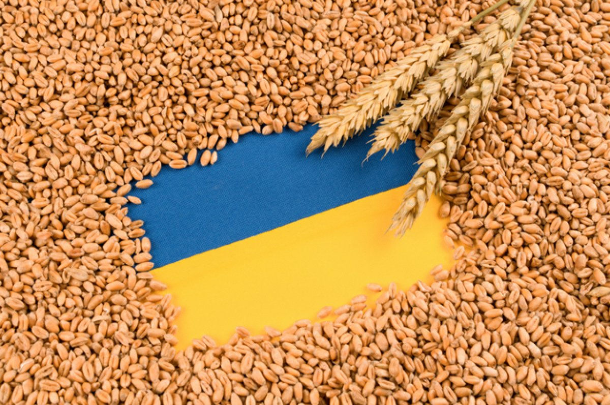 Пять стран ЕС выступили за запрет на импорт зерна из Украины до конца года.