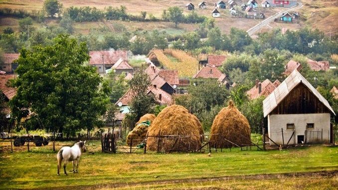 Крестьянские хозяйства задолжали более 20 млн леев по налогам и сборам.