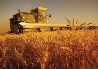 Producătorii agricoli ar putea să importe motorină. Foto: radiochisinau.md
