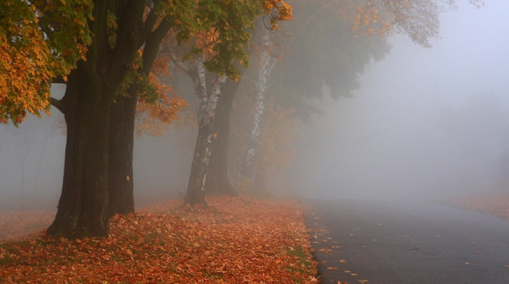 Detalii privind prognoza meteo puteți afla pe meteo.point.md.