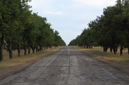 Названа дата начала капитального ремонта трассы Чадыр-Лунга-Твардица.