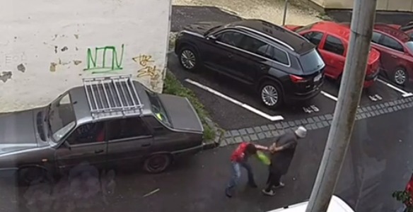 В Румынии подростки ограбили пенсионерку на улице.