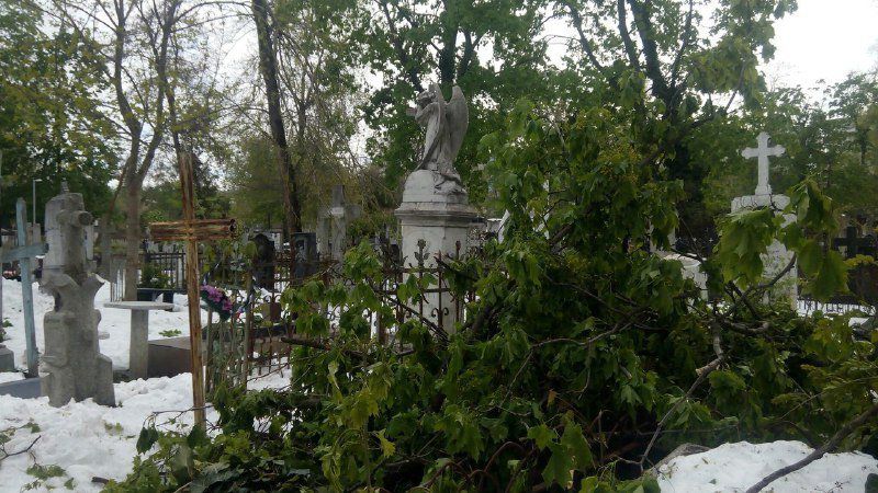 Многие отметили, что из-за непогоды до могил было очень сложно добраться, поэтому они оставили поминальные дары в церкви.