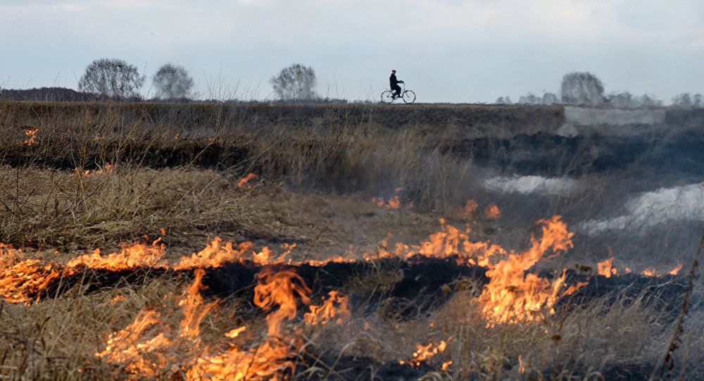 În apropiere de satul Treteşti a izbucnit un incendiu de vegetație.