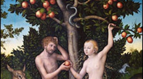 Concluzia geneticienilor care au interpretat rezultatele testelor genetice ale lui Kinnaird a fost că bărbatul este "nepotul Evei"