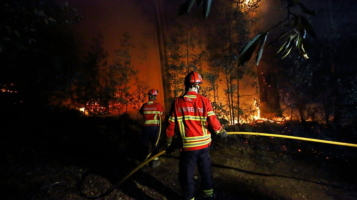 Furtunile au pregătit terenul pentru incendii: Portugalia se va confrunta cu o „vară teribilă”