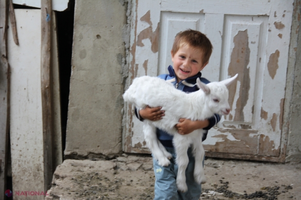 Numărul adopțiilor în Chișinău aproape s-a dublat în ultimul an. Dacă în anul 2012 au fost adoptați 22 de copii, în anul trecut cifra a ajuns la 40.