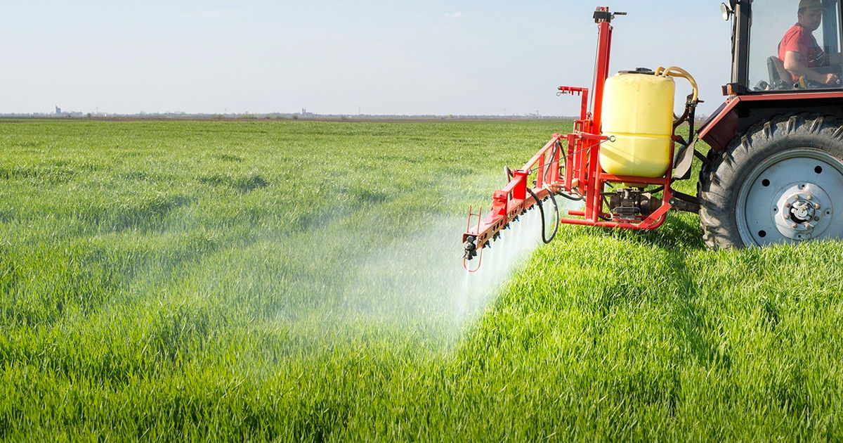 Moldova importă anual până la 3.400 tone de fungicide.
