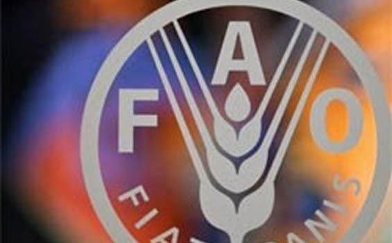 Продовольственная и сельскохозяйственная организация ООН (FAO).