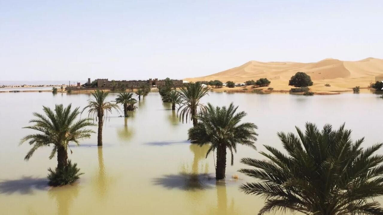 Climatologii prezic o creștere extremă a precipitațiilor în Sahara cu 75%.