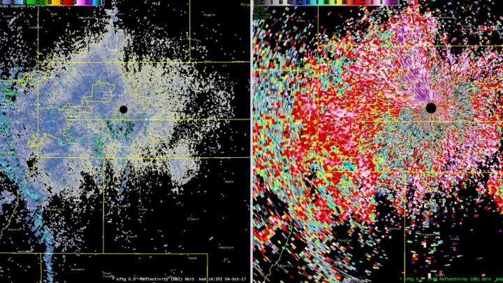 Un roi gigantic de fluturi migratori, surprins pe un radar meteorologic. 