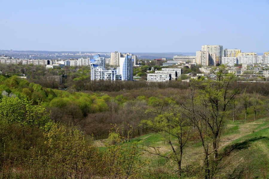 Предполагают, что тело растерзали собаки.   Фото: постановочное, newsmoldova.md.