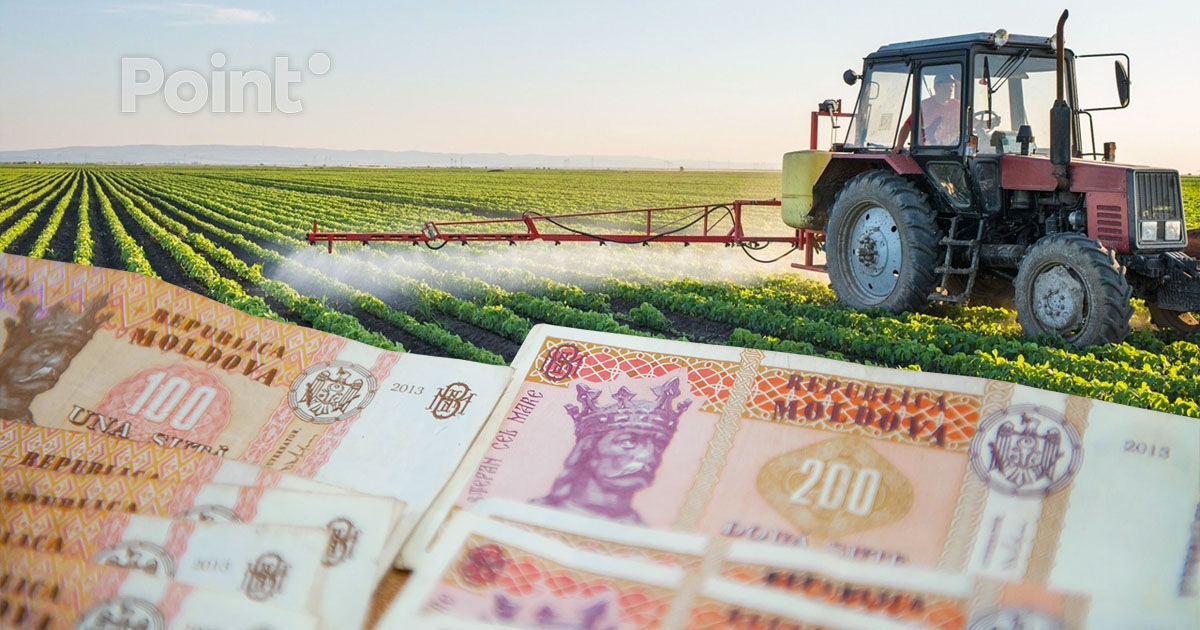 Nereguli în gestionarea fondurilor pentru agricultură: Rezultatele auditului Curții de Conturi.