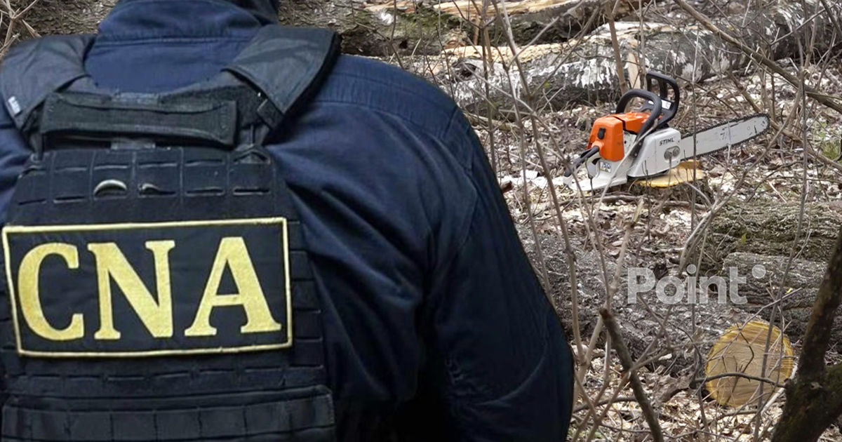 Задержан ещё один подозреваемый по делу о фиктивных трудоустройствах в Moldsilva.