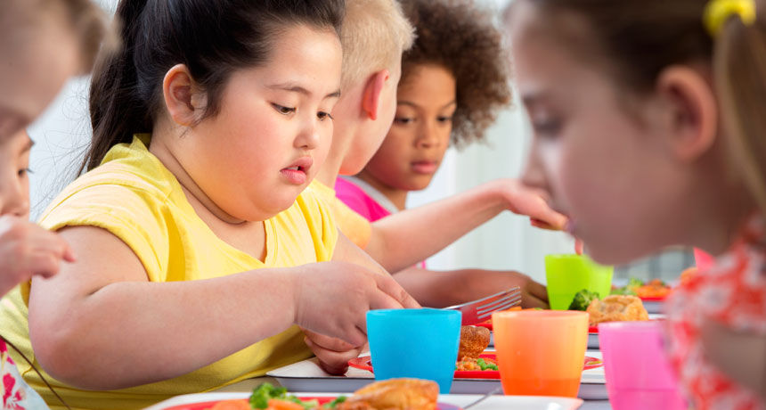 Sănătate INFO: Școlile de azi produc copii obezi. Foto: onlineduniya.com