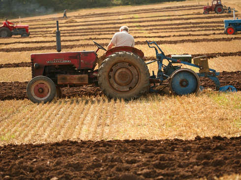 Producătorii agricoli din Republica Moldova vor achita TVA de doar 8% și vor fi scutiți de achitarea suplimentară a încă 12%, cum era pînă în prezent. 
