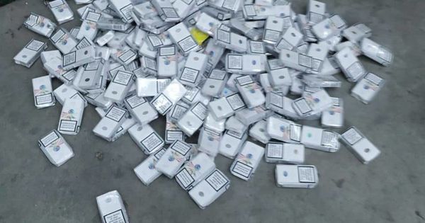 Пес Неро помог пограничникам выявить партию контрабандных сигарет.