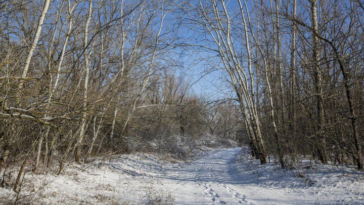 Meteo 28 ianuarie: Cer variabil şi vânt slab. Câte grade vor fi