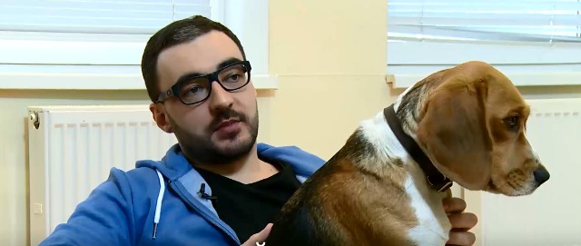 Сотрудники признают - вся эта хвостатая компания бывает шумной. Тем не менее, животные никого не отвлекают. 