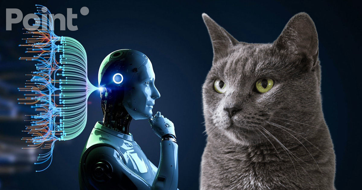 Гендиректор Google DeepMind: уровень IQ нынешних ИИ-моделей ниже, чем у домашнего кота. 
