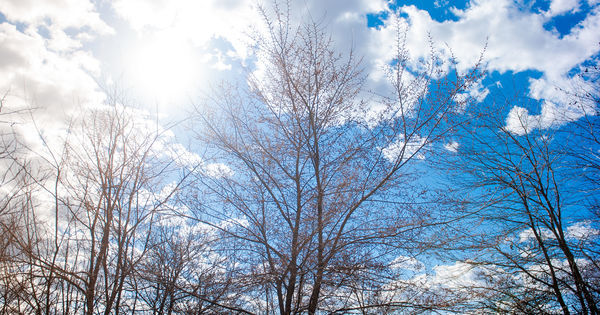 Синоптики прогнозируют погоду без осадков.
