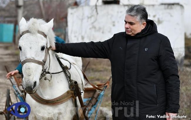 Консул Румынии купил в Молдове лошадь и спас ее.