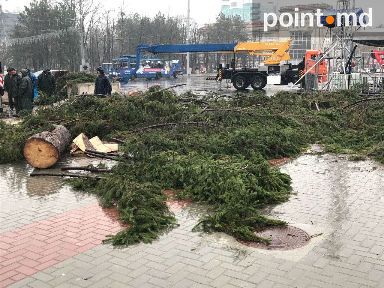 Новую елку намерены установить и нарядить до завтрашнего вечера.