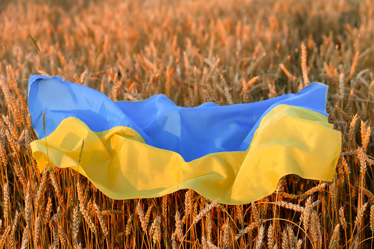 ЕС усилит проверки украинского зерна, чтобы успокоить протестующих фермеров.