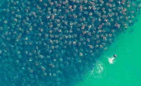 Neamţul de 33 de ani a câştigat numeroase premii internaţionale cu această fotografie.