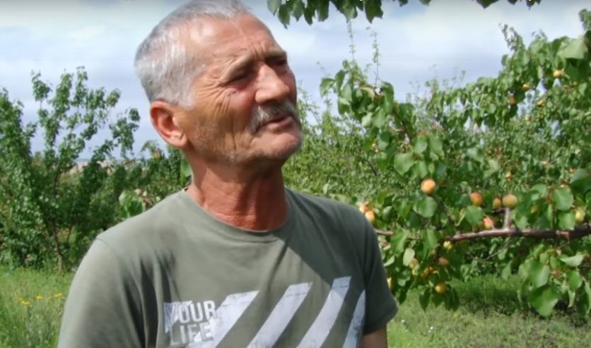 Фермер из Фалешт нашел способ, как помочь аграриям продать урожай.