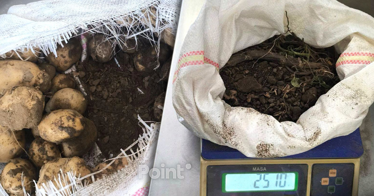В Молдову не пустили более 40 тонн молодого картофеля: оказался слишком грязным.