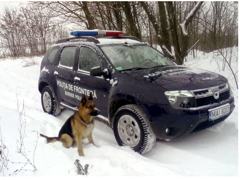 Pe traseul Leușeni-Chișinău, mijlocul de transport al patrulei Sectorului Poliției de Frontieră Leușeni a fost accidentat, iar în rezultat doi inspectori de frontieră au suferit leziuni corporale.