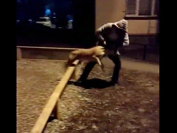 Инцидент произошел в понедельник вечером во дворе жилого дома по адресу Мирча чел Бэтрын, 5/2.