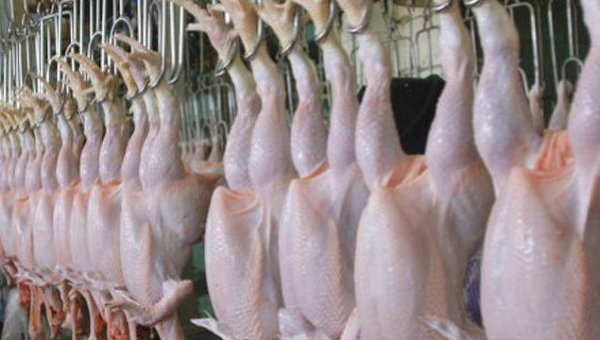 В соответствии с новыми изменениями, нижний предел таможенного тарифа на мясо крупного рогатого скота увеличится с 0,2 до 0,25 долларов США за 1 кг, на мясо домашних кур – с 0,15 до 0,2 долларов США за 1 кг. Фото: newsmoldova.ru
