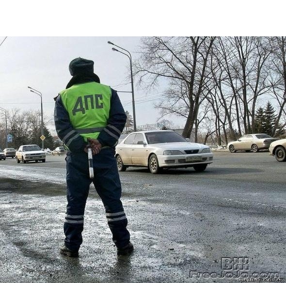 Возбуждено уголовное дело в отношении 25-летней девушки, которую подозревают в том, что она нанесла побои сразу четырем сотрудникам ГИБДД. Фото: freejojo.com