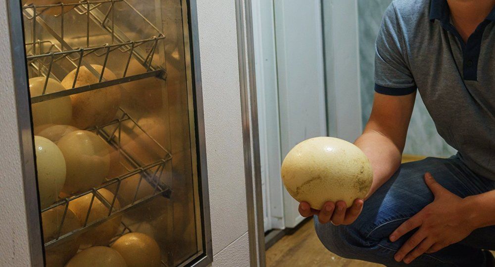 Locuitorii capitalei sunt puși în situația de a nu mai putea cumpăra ouă din cauza scumpirii considerabile a acestora. Foto: Sputnik/ Алексей Даничев