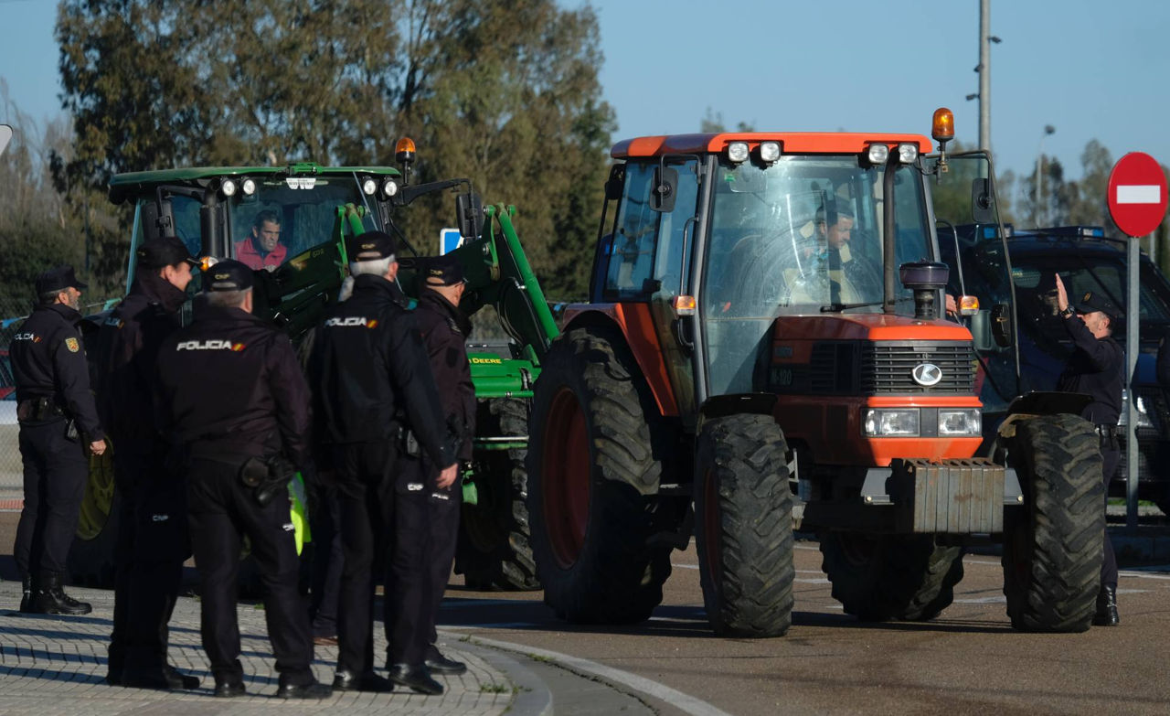 В Испании фермеры будут протестовать против импорта зерна из Украины.
