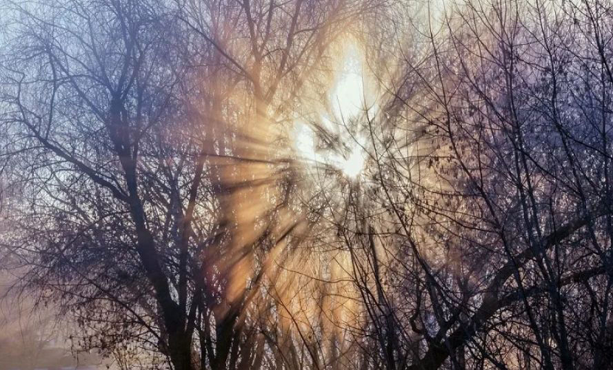 В среду жителей Молдовы ожидает солнечная погода, термометры покажут до +7°С.