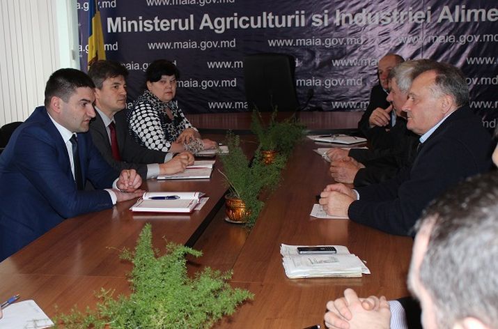 Întreprinderile de producere a conservelor din ţară au intrat într-o criză financiară. Foto: newsmoldova.md
