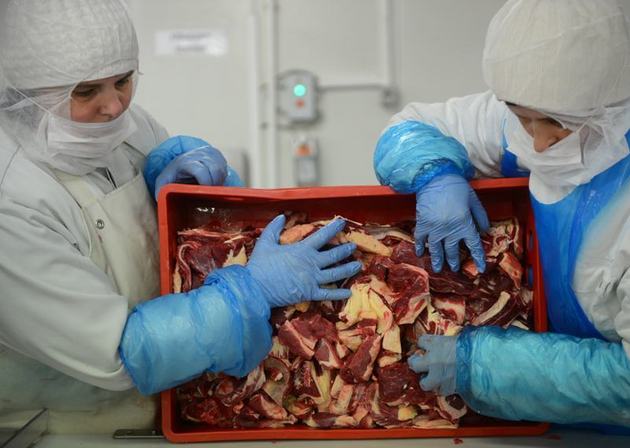 Autoritatea pentru alimentaţie publică din Grecia (Efet) a anunţat miercuri că a descoperit "ADN de carne de cal în mostre" prelevate din pachete de carne congelată importate din România sub eticheta "vită".