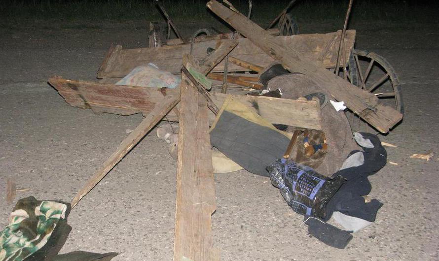 În urma impactului, doi pasageri ai hipomobilului, un bărbat de 40 de ani şi o femeie de 44 de ani au decedat la faţa locului.