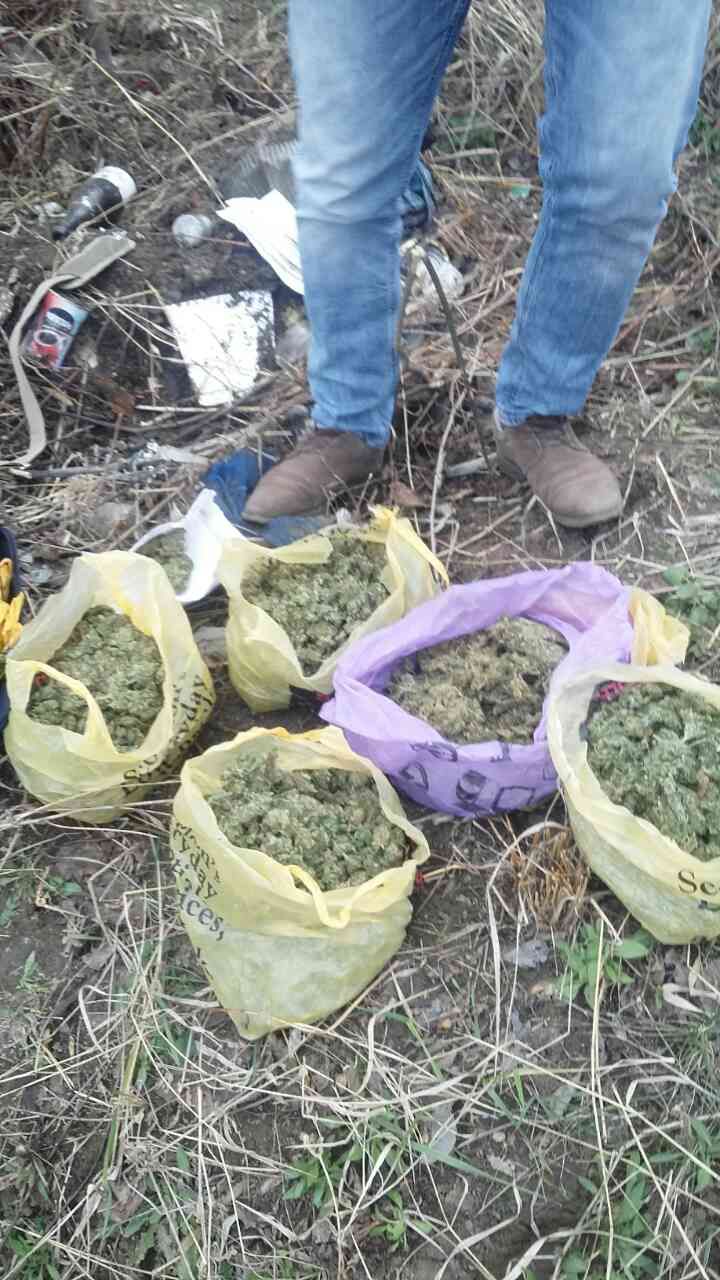 Dosarul drogurilor în scop de înstrăinare, pe masa magistraților. Foto: PCCOCS