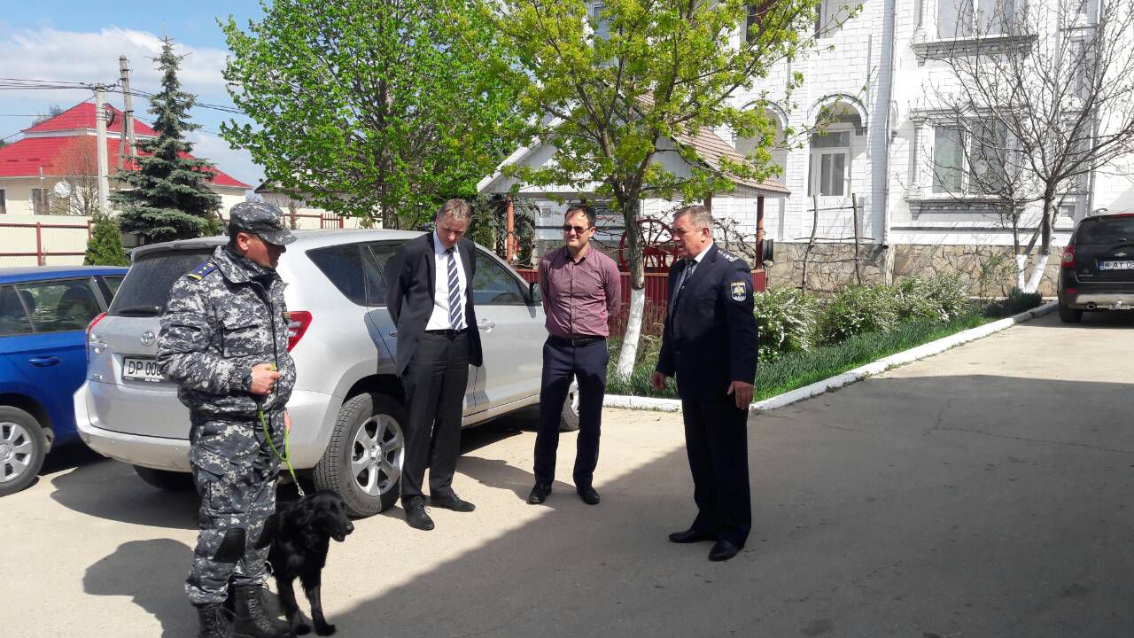 В настоящее время у таможенной службы есть только одна собака, обученная находить денежные средства. Фото: customs.gov.md.