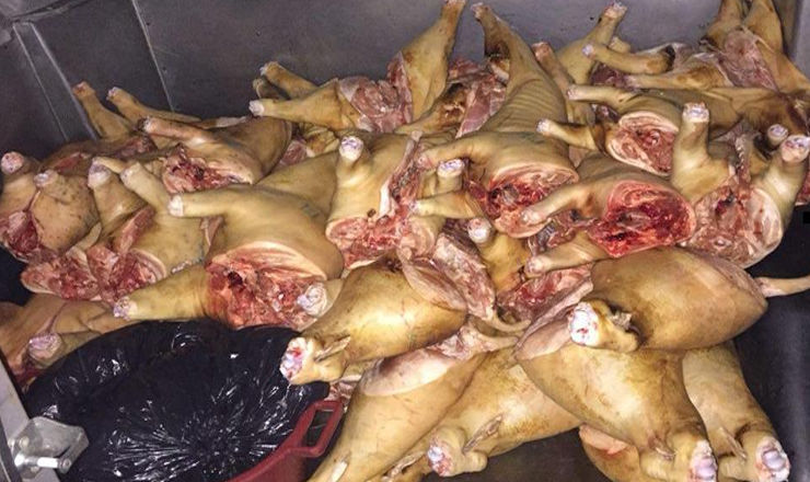 Владельцы мяса не смогли представить все необходимые документы о его происхождении и качестве.